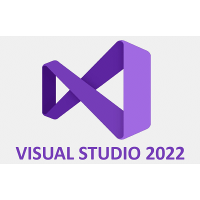 Visual Studio 2022 Professional MSDN All Lng SA, COM/GOV                    
