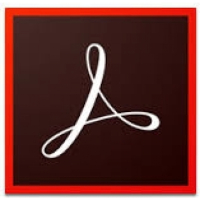 Adobe Acrobat Professional pro Týmy