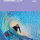 Adobe Premiere Elements 2024