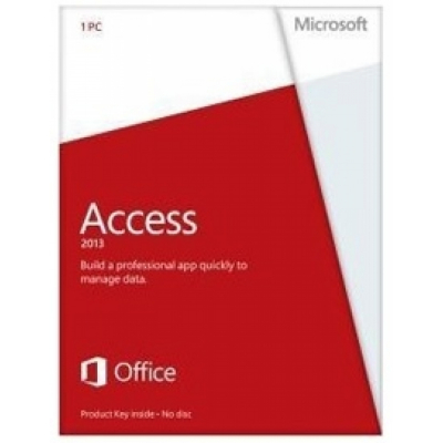 Microsoft Access 2013 CZ                    