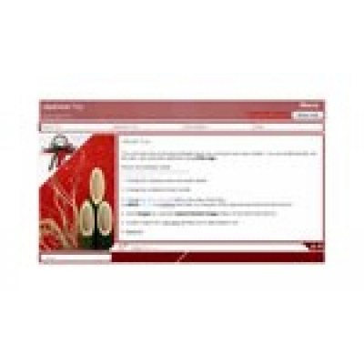 A4Desk Professional Designer Plan 12                    