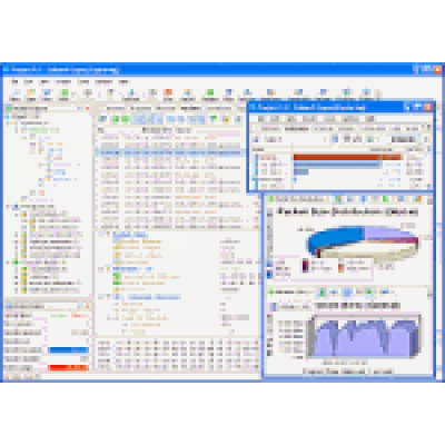 Colasoft Capsa Enterprise Single - 1 year Subscription