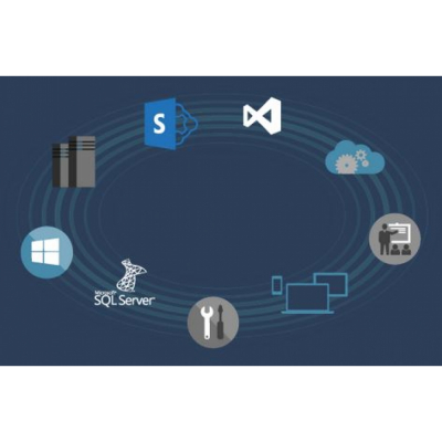 MSDN Platforms All Lng Lic / SA                    