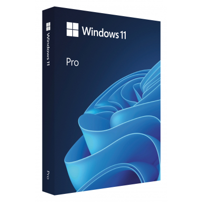 Windows 11 Pro 64bit CZ USB                    