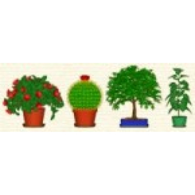 DesktopPlant Bundle Gold                    