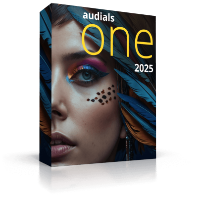 Audials One 2025                    