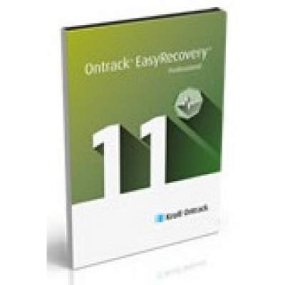 EasyRecovery 11 Professional, Windows, 1 rok                    