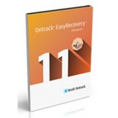 EasyRecovery 11 Enterprise, Windows, 1 rok                    