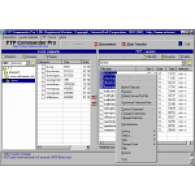 FTP Commander Pro                    