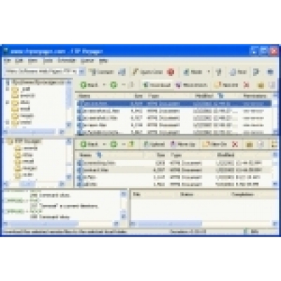 FTP Voyager Secure                    