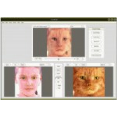 Fun Morph                    