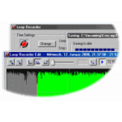 Loop Recorder                    