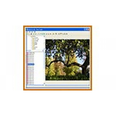 Photo Toolkit                    