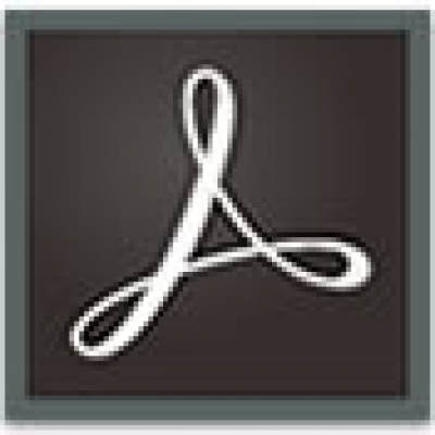 Adobe Acrobat Standard 2017 WIN CZ COM Licence                    