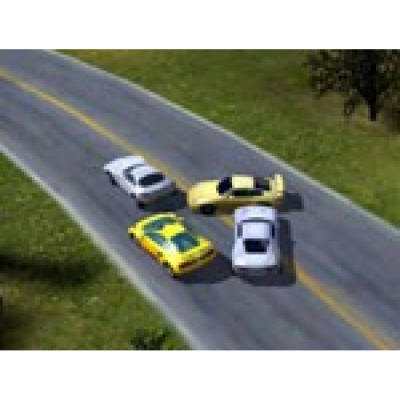Race Cars: The Extreme Rally                    