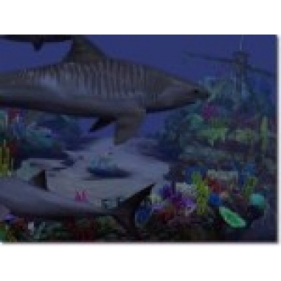 Sharks, Terrors of the Deep                    