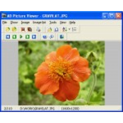 AD Picture Viewer                    