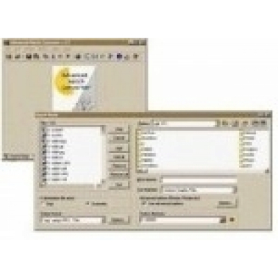 Advanced Batch Converter Business licence                    