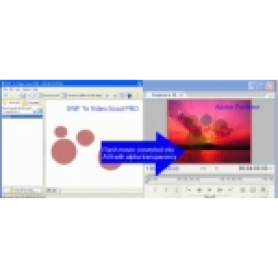 SWF To Video Scout PRO Business License                    