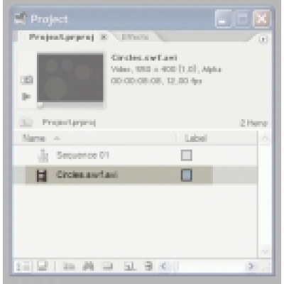 SWF To Video Scout PRO Enterprise License                    
