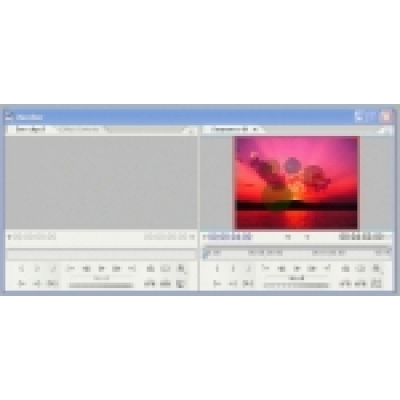 SWF To Video Scout PRO Personal License                    