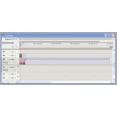 SWF To Video Scout PRO Site License                    