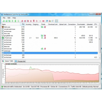 NetBalancer Pro                    