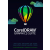 CorelDRAW Graphics Suite Business licence, CorelSure Maintenance, prodloužení podpory na 1 rok