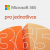 Microsoft 365 pro jednotlivce, předplatné na 1 rok, CZ, BOX